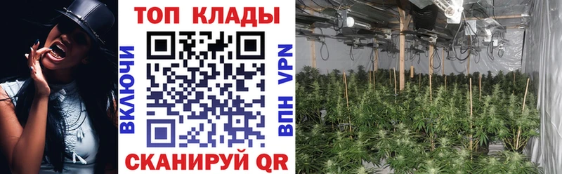 Купить наркотики цена Льгов А ПВП  Меф мяу мяу  ГАШИШ  MEGA рабочий сайт  Канабис 