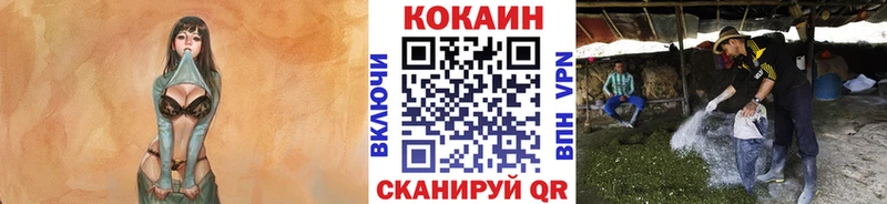 COCAIN FishScale  купить закладку  Льгов 