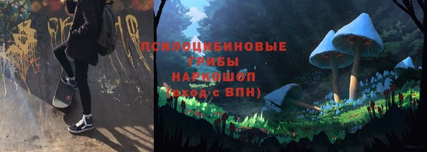 индика Краснослободск