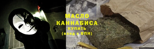 индика Краснослободск