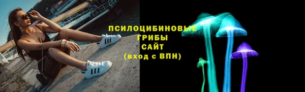 индика Краснослободск