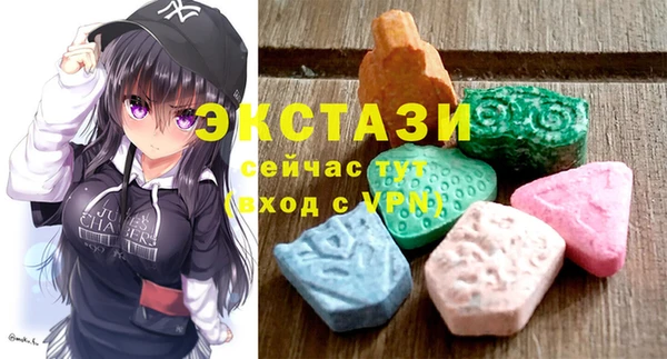 индика Краснослободск