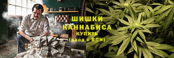 индика Краснослободск