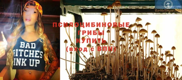 индика Краснослободск