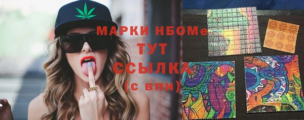 индика Краснослободск