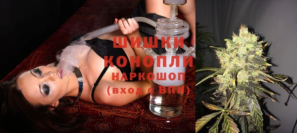 индика Краснослободск