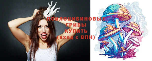 a pvp Краснотурьинск
