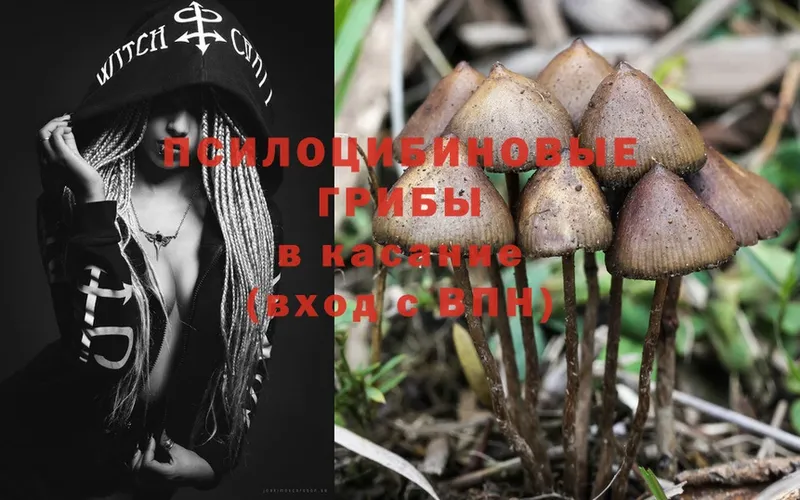 Псилоцибиновые грибы Psilocybine cubensis  сколько стоит  Льгов 